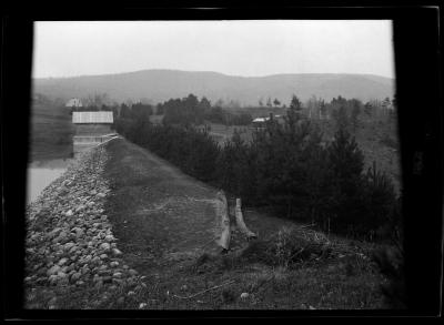 Glens Falls Reservoir Plantation