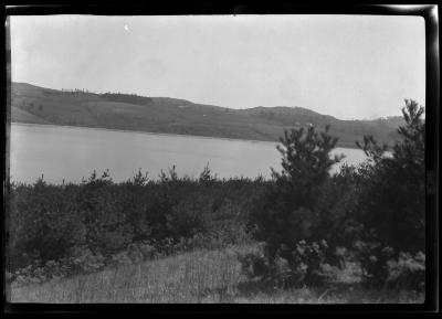 Pine trees line the shores of an unidentified New York State lake