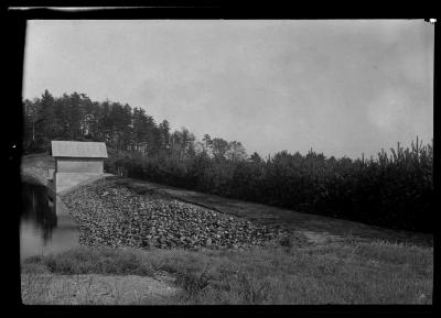 Glens Falls Reservoir Plantation