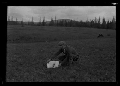 Unidentified man holds a piece of paper up behind a young pine tree