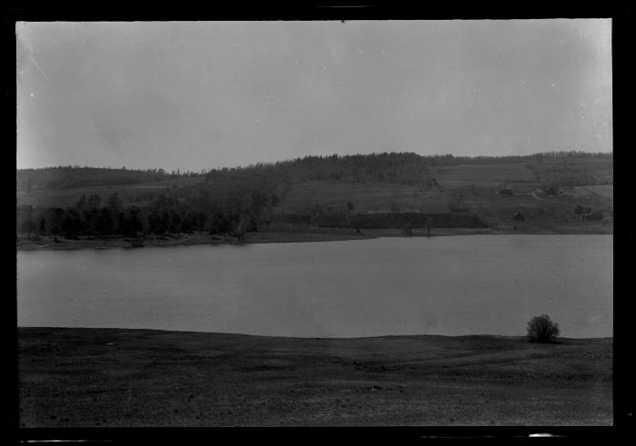 Scotch pine plantation on the Oneonta watershed