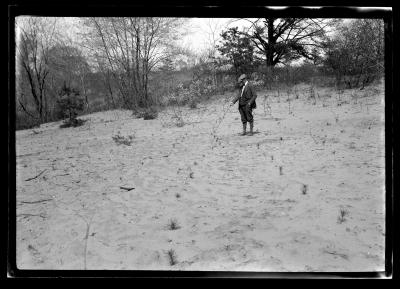 Unidentified man points to pine seedlings planted in blow sand