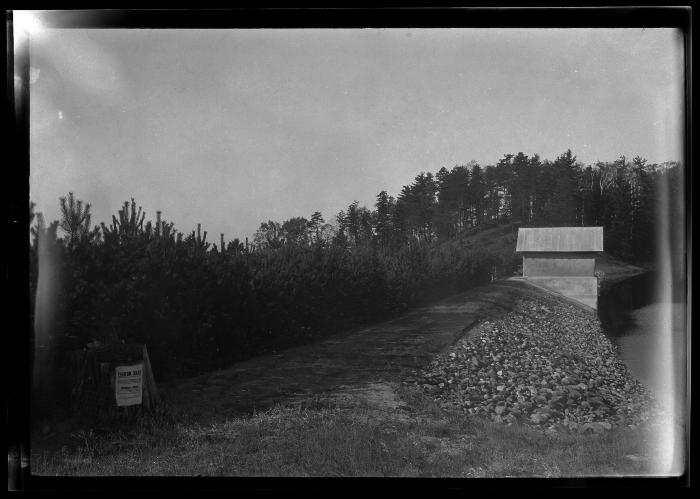 Glens Falls Reservoir Plantation