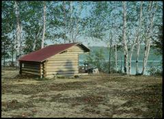 State Open Camp, Birch Trees. North shore of Fish Creek Pond