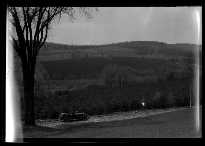 Oneonta; two plantations of white and Scotch pine in Oneonta's municipal watershed forest which now contains more than 400,000 trees