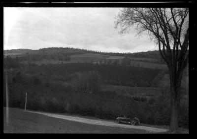 Scotch pine plantation, Oneonta watershed