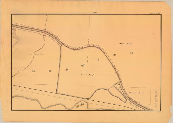 Chenango Canal Survey, Norwich showing Bissell, Mead and Mead’s Pond 