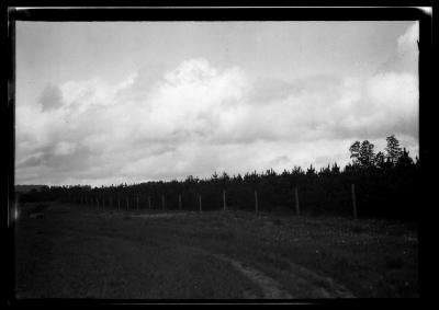 Cortland watershed forest