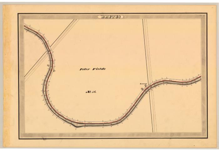 Erie Canal Survey, Brutus showing Fields and Lot No. 56