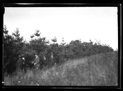 Little Falls municipal forest white pine plantation planted 1920