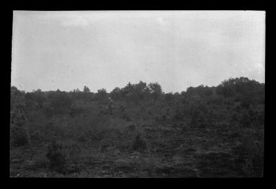 American legion forest, town of Ohio, Herkimer County