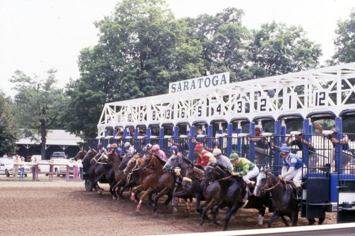 Saratoga racecourse starting line