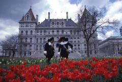 Tulip Festival celebrations outside the State Capitol in Albany