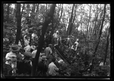 Posts cut from 16-year-old black locust plantation, near Warsaw, James Keogh farm