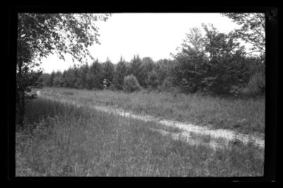 American legion forest, town of Ohio, Herkimer County