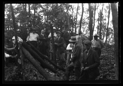 Posts cut from 16 year old black locust plantation, near Warsaw, James Keogh farm