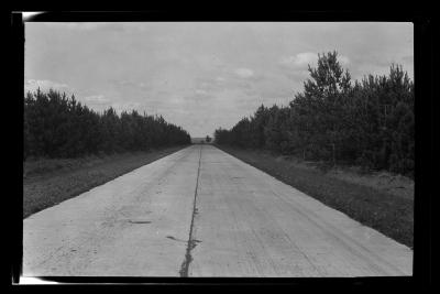 American Legion forest, town of Ohio, Herkimer County