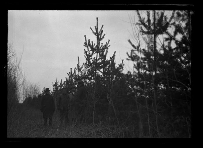 G. Hiedson Gould, Glen A. Seaby, George B. Wilder and a fourth man tour at the Watson School Forest in Lewis County