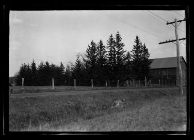 Barn and pine trees at the Hoog Farm in Livingston, N.Y.