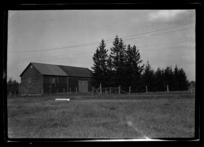 Barn and pine trees at the Hoog Farm in Livingston, N.Y.