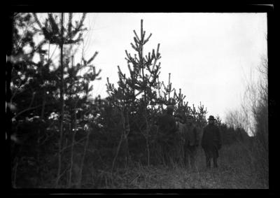 G. Hiedson Gould, Glen A. Seaby, George B. Wilder and a fourth man tour at the Watson School Forest in Lewis County