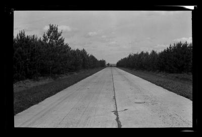 American Legion forest, town of Ohio, Herkimer County