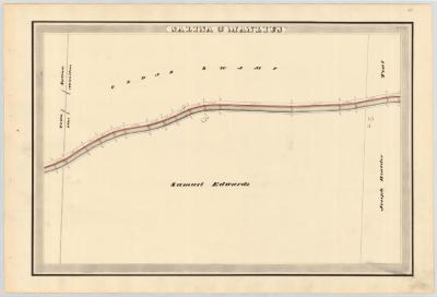 Salina and Manlius showing Cedar Swamp