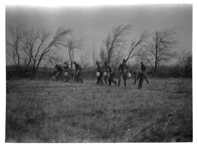 Reforesting operations, Montgomery Co. reforestation area