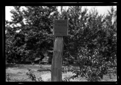 Plantation sign Hannawa Falls