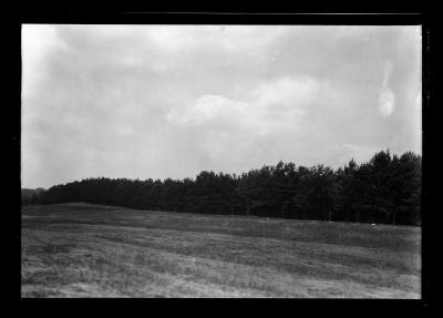 S.P. Plantations Hannawa Falls