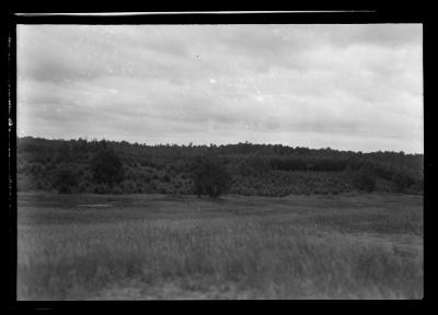 Carthage watershed forest