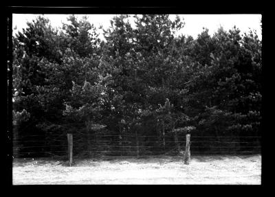 S.P. Plantation, Hannawa Falls