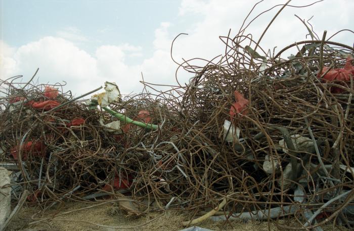 Sorting fields at Fresh Kills