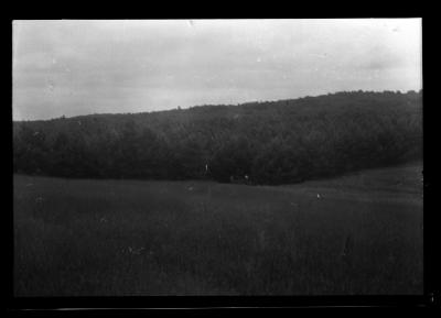 Carthage watershed forest