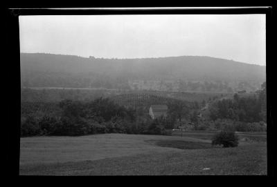 Oneonta, N.Y.