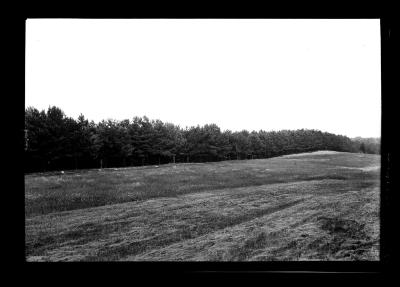 S.P. Plantations Hannawa Falls
