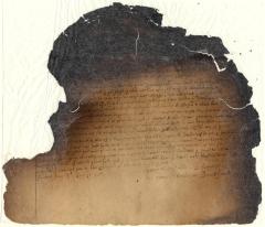 Letter from Governor William Bradford of New Plymouth to Petrus Stuyvesant