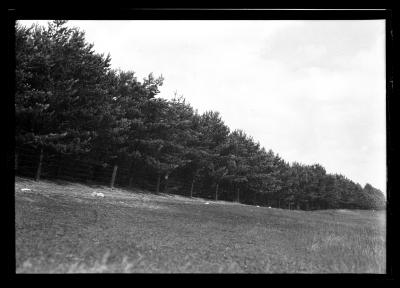 15 yr. S.P. Hannawa Falls