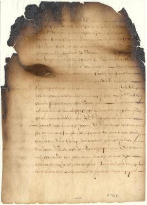 Letter from the directors at Amsterdam to Director Stuyvesant