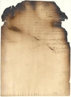 Letter to the Amsterdam Chamber granting land on Manhattan