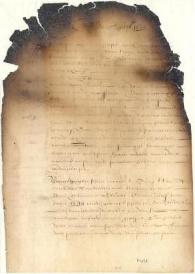 Resolution of the Amsterdam chamber granting land in New Netherland