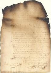 Letter from the directors at Amsterdam to Stuyvesant and the council