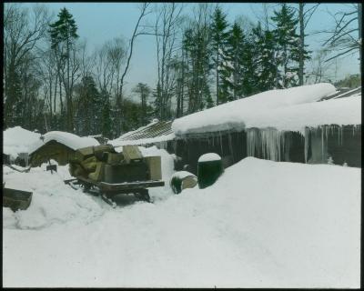 A Tote Load Just Arrived at Lumber Camp with Provisioins. Near Woodhull Lake, Herkimer Co, N.Y.