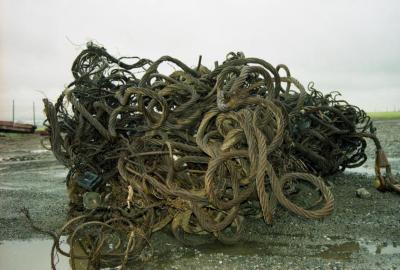 Sorting field