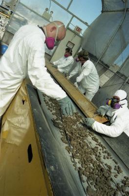 Sorting Shed Interior