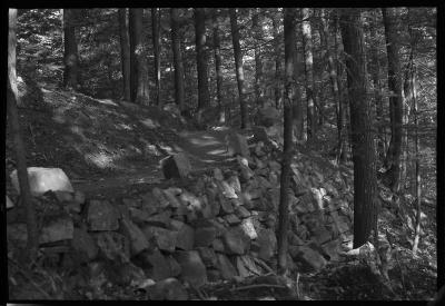 Terraced trail at Tongue Mountain