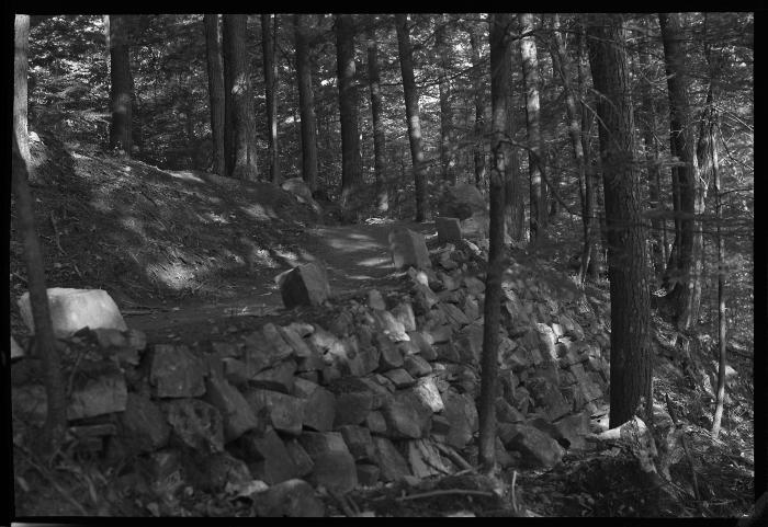 Terraced trail at Tongue Mountain