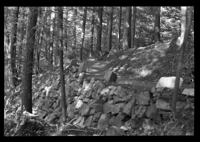 Sunlit trail at Tongue Mountain