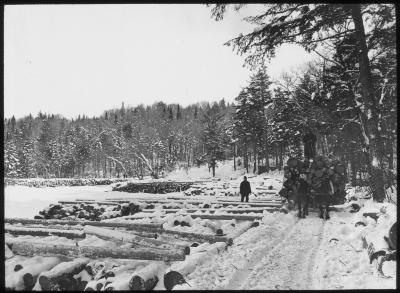 The Landing; Log Bridge in Distance, South Branch of the Moose River