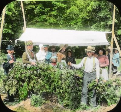 Group of Hop Pickers